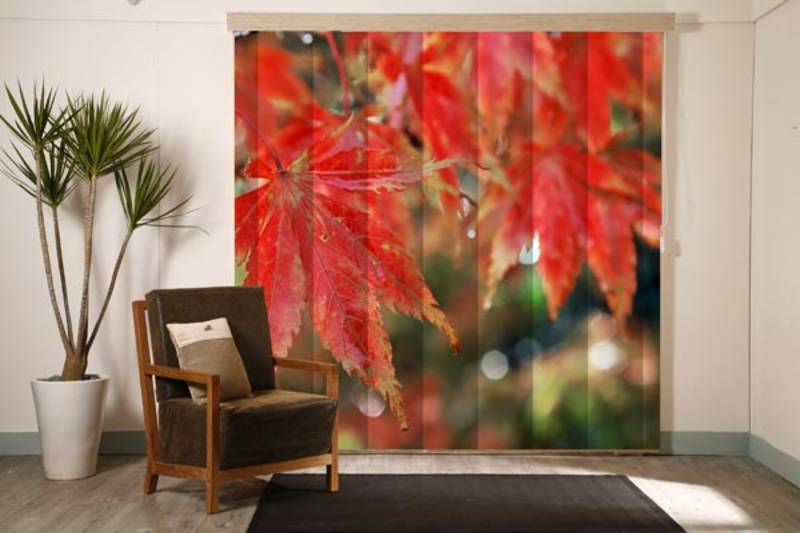Print Roller Blinds